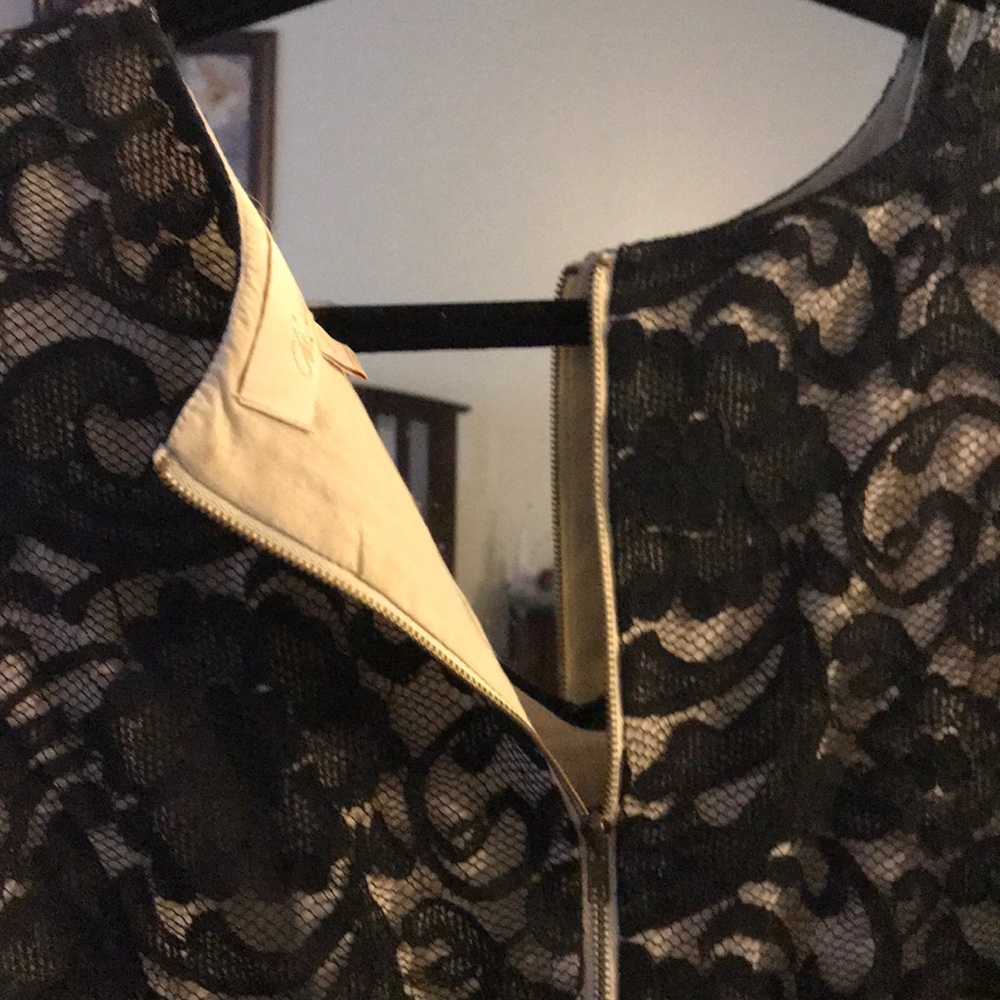Lace Cocktail Dress - Picture 8 of 8